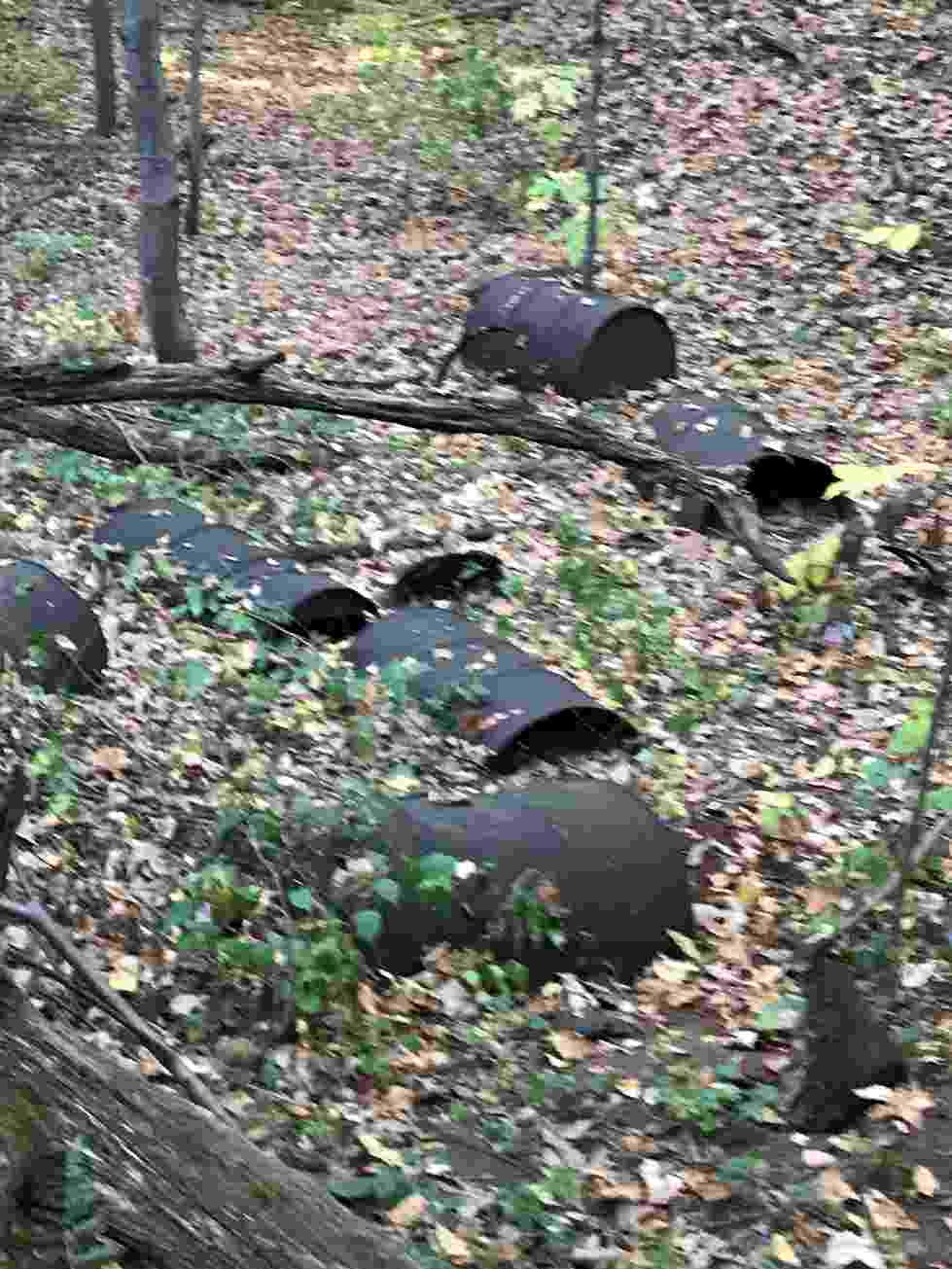 Pictured: Discarded drums of chemical waste